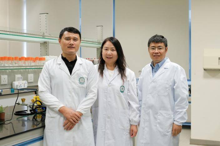 澳門理工大學研究團隊揭示耐甲氧西林金黃色葡萄球菌的流行趨勢。澳門政府新聞局圖片