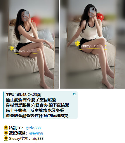晴子高檔茶.jpg